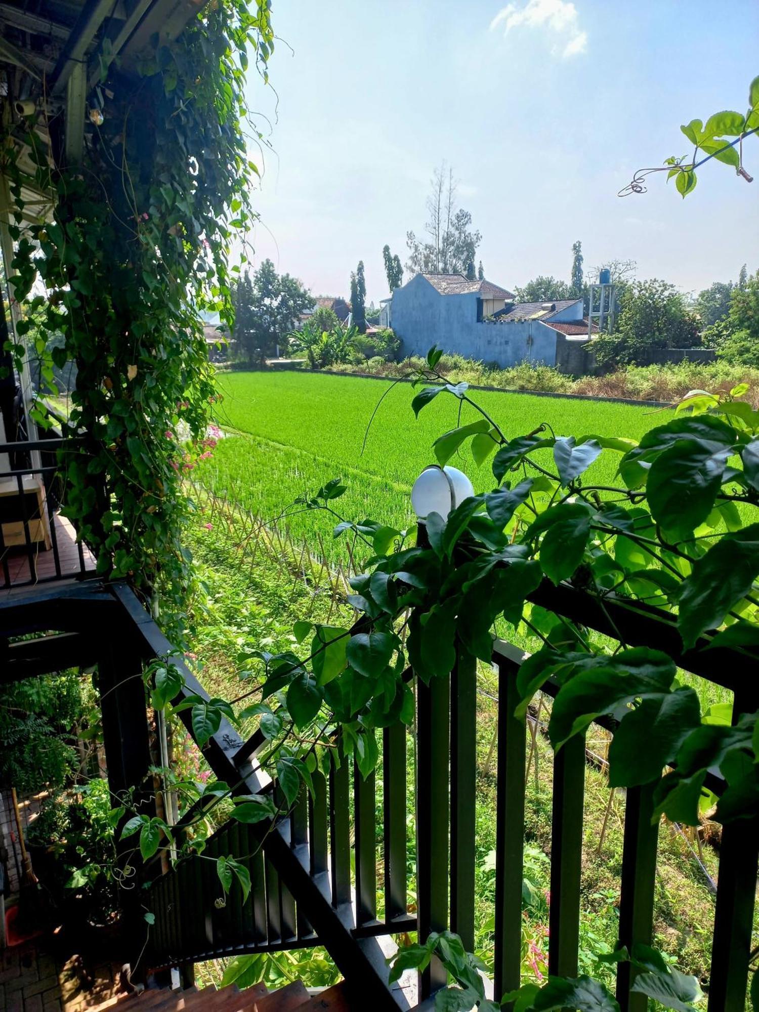 Hotel Omah Tjepit מראה חיצוני תמונה